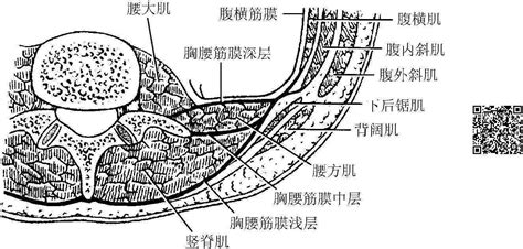 三胸二塞一氣傷|Statparamedic119: 術科情境